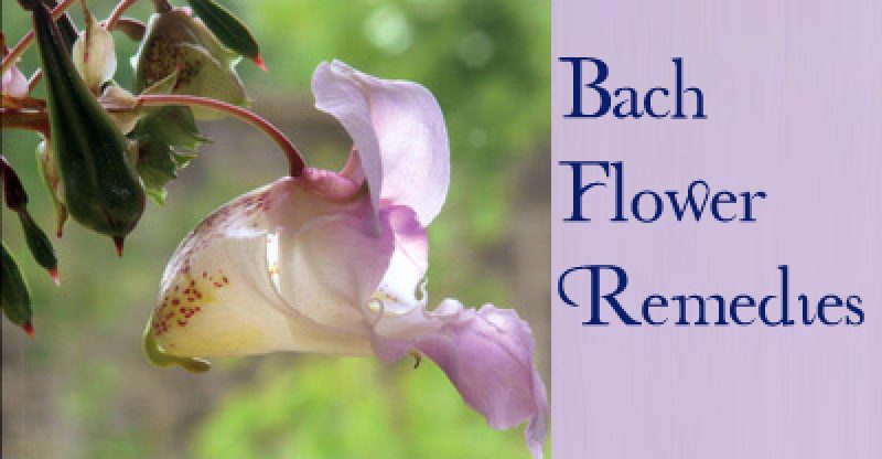 Bach Flower Remedies Bach Flower Remedies