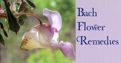 Bach Flower Remedies 1 Bach Flower Remedies 1
