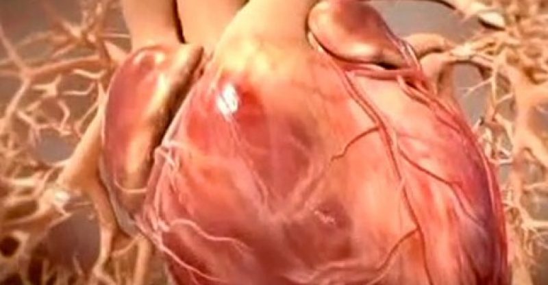 Naturopathy – Blood Cholesterol Good and Bad