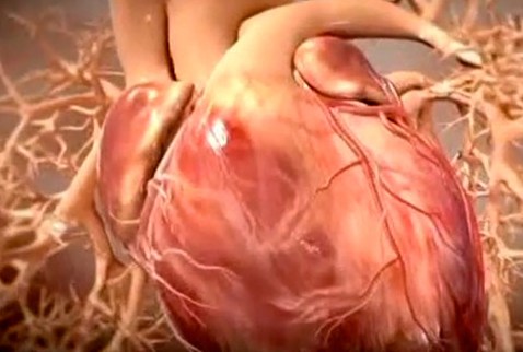 Naturopathy - Blood Cholesterol Good and Bad 1