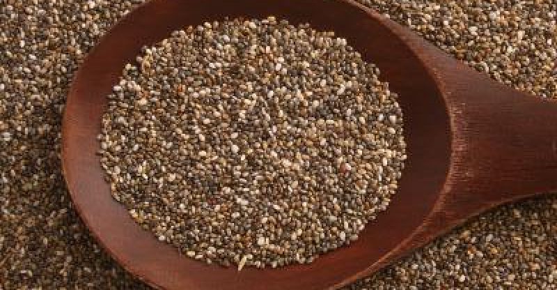 Health Benefits of Chia Seeds Health Benefits of Chia Seeds