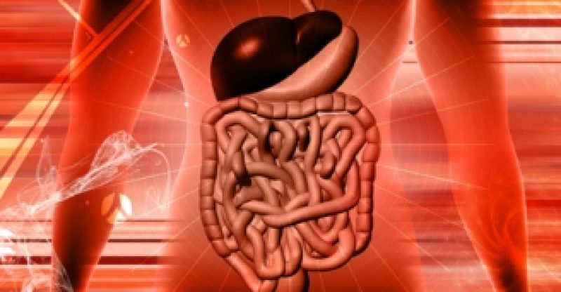 Naturopathy – Respiratory And Digestive System