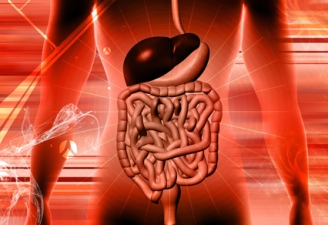 Naturopathy - Respiratory And Digestive System 1 Naturopathy - Respiratory And Digestive System 1
