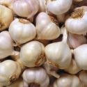 Naturopathy – Garlic Health Benefits