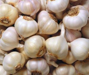 Naturopathy - Garlic Health Benefits 1