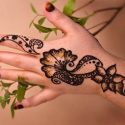 Traditional, Medicinal Uses of Henna Plant Traditional, Medicinal Uses of Henna Plant