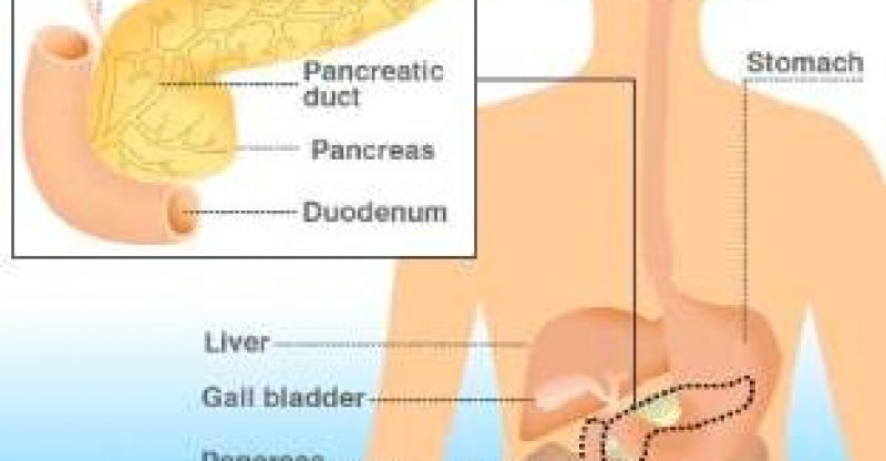 Naturopathy Treatment for Liver Disorder