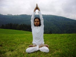 Asanas and Benefits - Mountain, Triangle, Half Locust Pose 1 Asanas and Benefits - Mountain, Triangle, Half Locust Pose 1