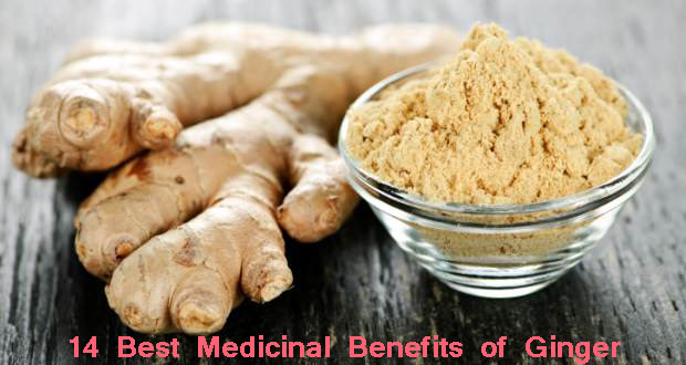 14 Amazing Health Benefits Of Ginger