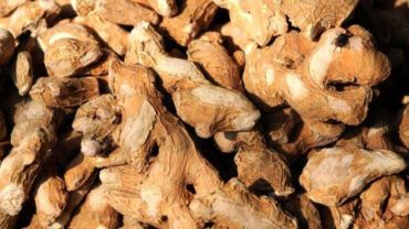 15 Medicinal Benefits of Dried Ginger (Sukku)