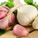 15 Medicinal Benefits of Garlic Since Ancient Times 15 Medicinal Benefits of Garlic Since Ancient Times