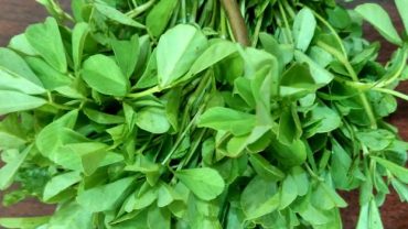 15 Amazing Health Benefits Of Fenugreek Leaves For Entire Body