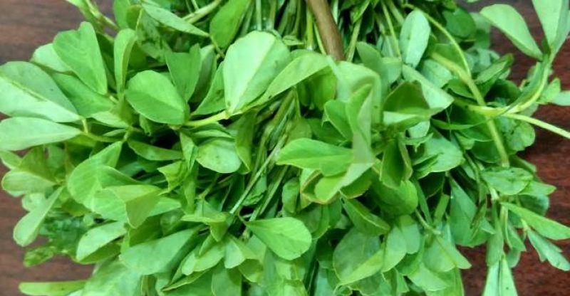 15 Amazing Health Benefits Of Fenugreek Leaves For Entire Body