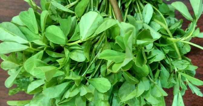 15 Amazing Health Benefits Of Fenugreek Leaves For Entire Body 1