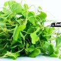 15 Health Benefits Of Indian Pennywort (Centella Asiatica) 15 Health Benefits Of Indian Pennywort (Centella Asiatica)