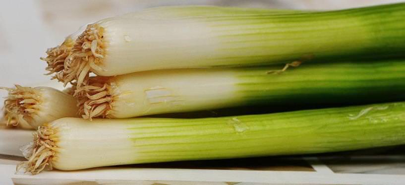 10 Amazing Health Benefits Of Leeks 1 leeks-benefits
