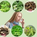 13 Amazing Remedies To Treat Asthma in Siddha Medicine