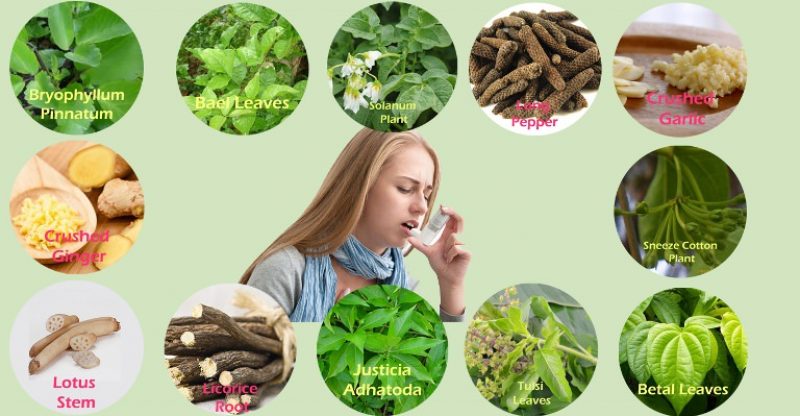 13 Amazing Remedies To Treat Asthma in Siddha Medicine