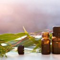 10 Amazing Health Benefits of Eucalyptus Essential Oil 10 Amazing Health Benefits of Eucalyptus Essential Oil
