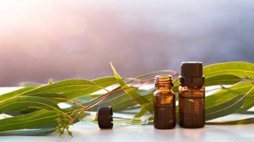 10 Amazing Health Benefits of Eucalyptus Essential Oil