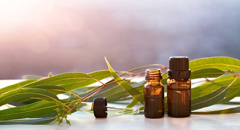 10 Amazing Health Benefits of Eucalyptus Essential Oil 3
