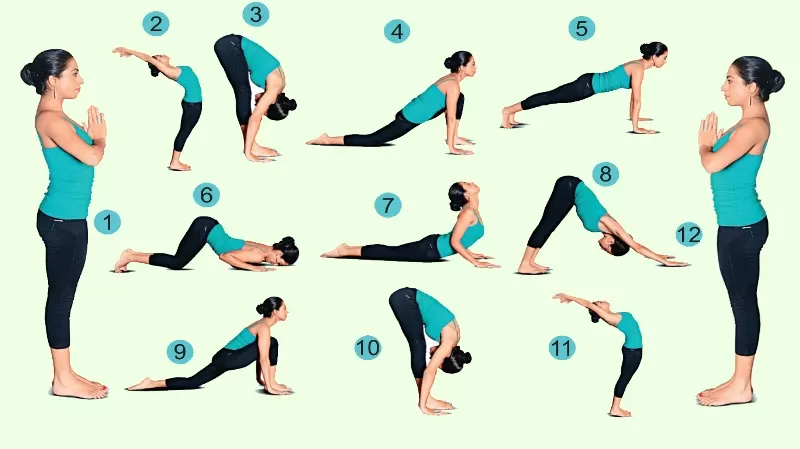 12 poses of Surya Namaskar Sun Salutation for beginners Steps Names