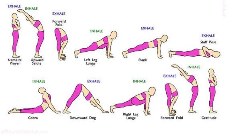 Surya Namaskar Yoga - 12 Steps Names And Procedure 1 surya-namaskar-steps
