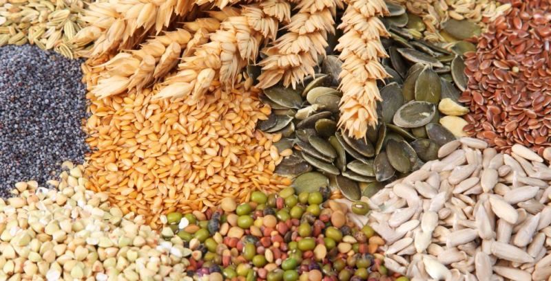 cleanse-the-intestine-by-whole-grains cleanse-the-intestine-by-whole-grains