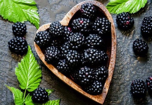 18 Amazing Health Benefits Of Black Colored Foods 15 18 Amazing Health Benefits Of Black Colored Foods 15